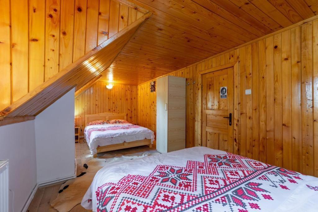 Cabana Rausor Cîmpulung Exteriör bild