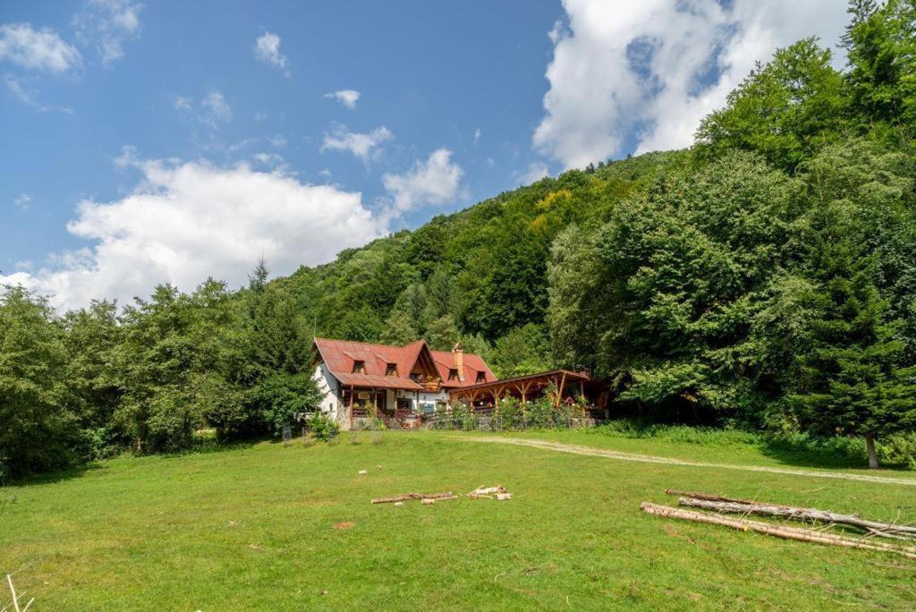 Cabana Rausor Cîmpulung Exteriör bild