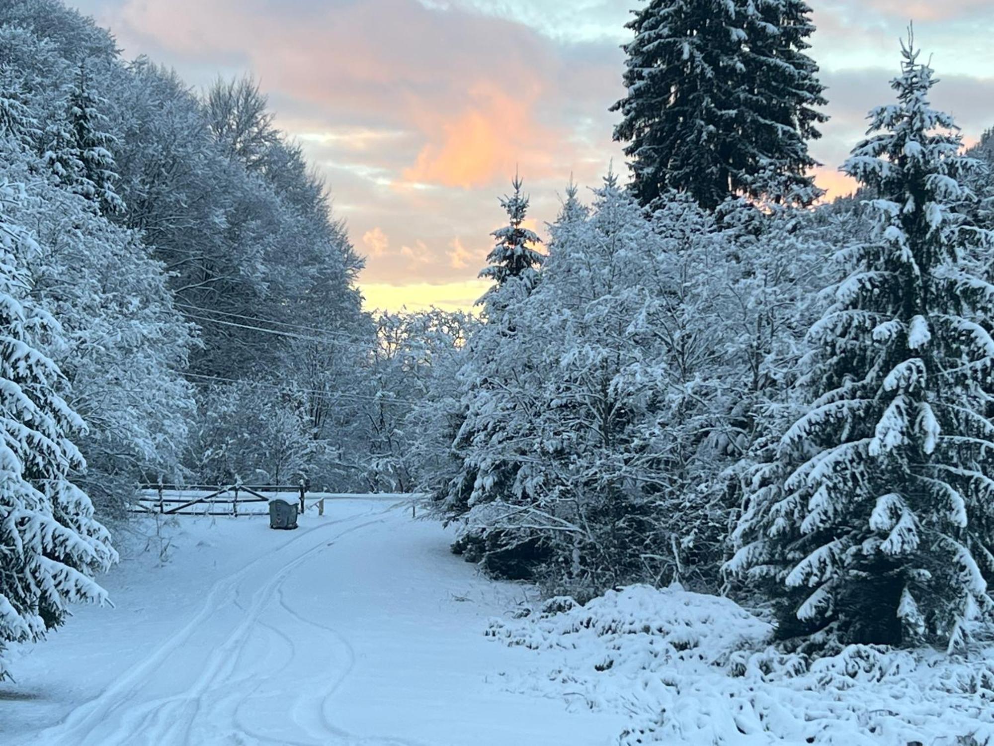 Cabana Rausor Cîmpulung Exteriör bild