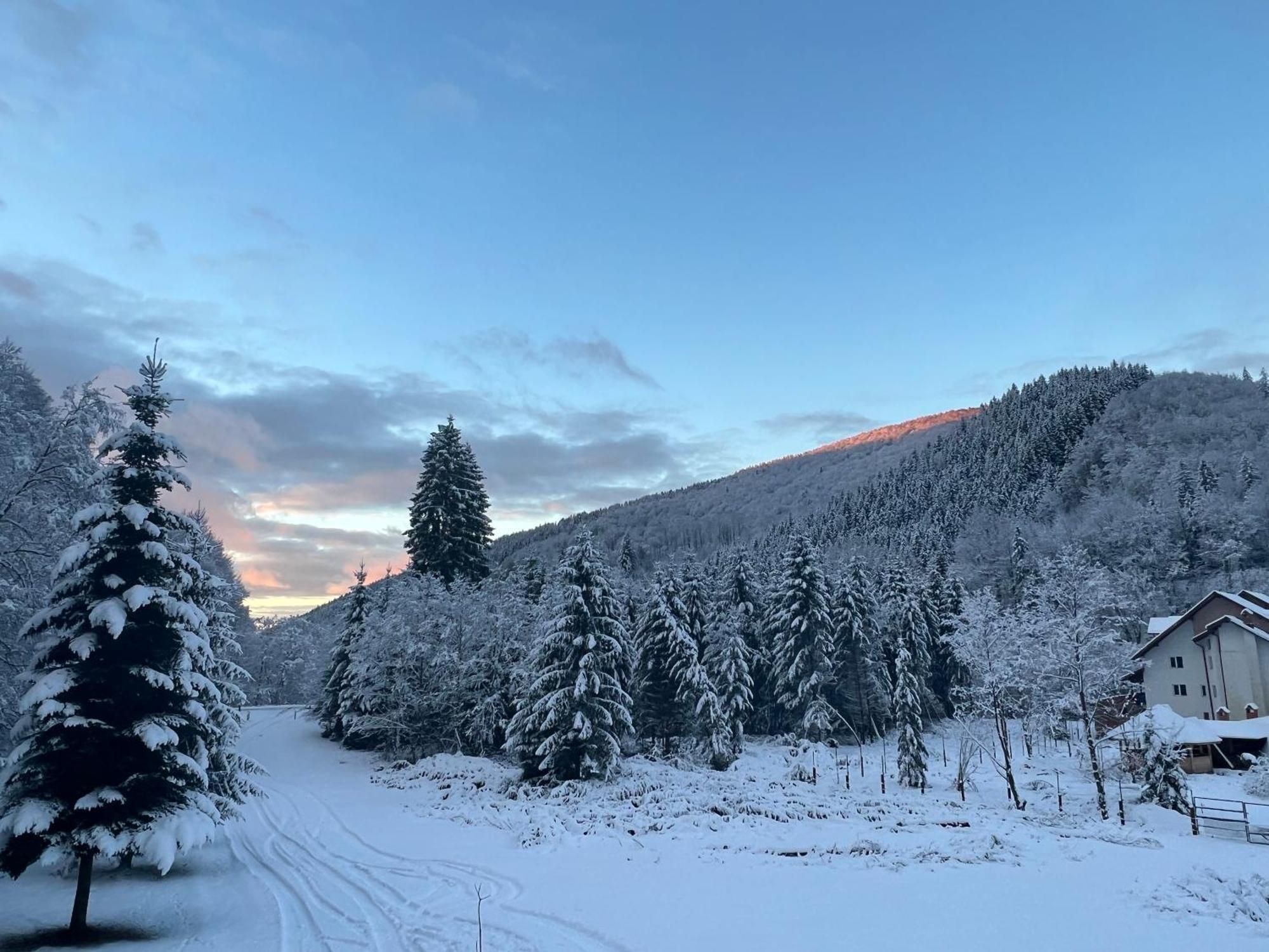 Cabana Rausor Cîmpulung Exteriör bild